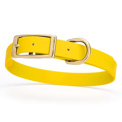 Viper Biothane Heavy Duty Waterproof Dog Collar Strong Coated Nylon Webbing w/Solid Brass Hardware Odor-Proof for Easy Care to Clean High Performance Fits Small Medium or Large Dogs, Lemon Yellow