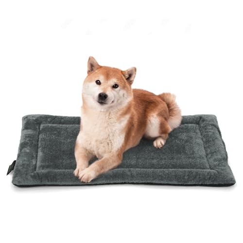 BOWHAUS 33.5" x 20” Machine-Washable Fluffy Dog Bed for 36" Kennel, Soft Crate Mat with Non-Slip Bottom, Cozy Pet Pad for Sleeping, Medium Dog Kennel Flat Bed - size: 33.5" x 20" x 1.2"
