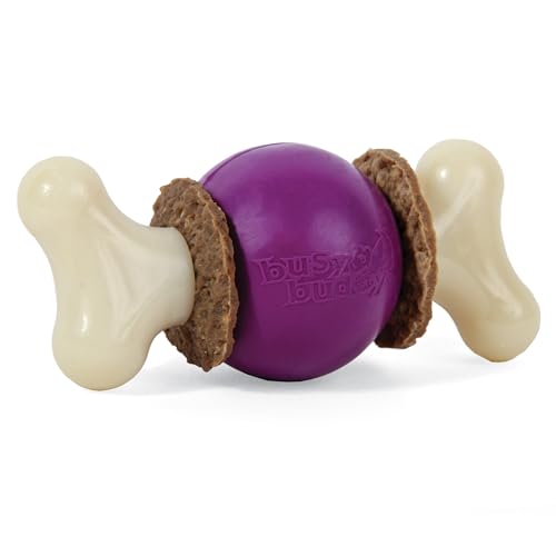 PetSafe Busy Buddy Bouncy Bone, Treat Holding Dog Toy, Medium, Best for Dogs 10-50 Lb. - size: Medium, style: Bouncy Bone