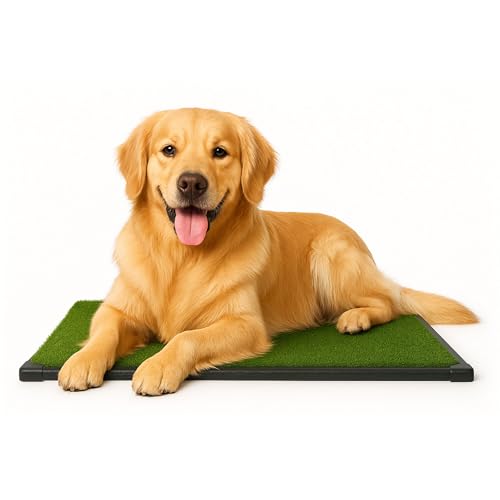 PETMAKER Artificial Grass Puppy Pee Pad for Dogs and Small Pets with Tray - 20x30 inches Washable 3-Layer Reusable Indoor Dog Potty Grass Training Pad, Easy Clean Pet Housebreaking Potty Solution - size: Large 3-Layer System