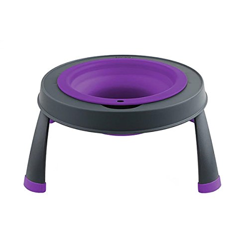 Dexas Popware for Pets Single Elevated Pet Feeder, Small, Gray/Purple - color: Gray/Purple, size: Small/1.5 Cup Capacity
