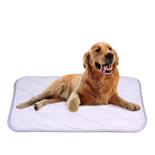 NWK Fluffy Self Warming Cat Mat, Cat Blanket, Thermal Dog Mat, Washable, Non-Slip Bottom for Sofa & Crate & Kennel & Car Seat (Purple, Large (35'' X 23'' X 0.4'')) - color: Purple, size: Large (35'' X 23'' X 0.4'')