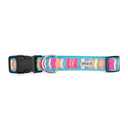THE WORTHY DOG Spring Holiday Fiesta Stripe Dog Collar – Durable Nylon, Woven Ribbon, Quick-Release Buckle, Nickel D-Ring – Teal, Small - color: Fiesta Stripe - Teal, size: Small