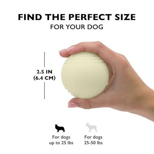 Chew King by Mammoth Glow-in-the-Dark Dog Fetch Balls (8-Pack), Lattice Rubber Balls for Night Play, High Bounce Fetch Toys, Rechargeable Under Any Light, Medium 2.5" - color: I) 8-Pack (2.5" Balls)