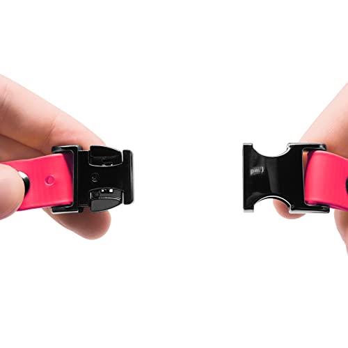 Educator 1-Inch Dog Training Collar Strap – ONLY Fits FE-580, ET-800 & UL-1200 Receivers – NOT Compatible with Mini Educator (ET-300/ET-400) – Quick Snap Biothane Bungee Collar, Pink - color: Pink