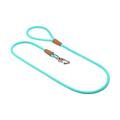 TOH Dog Rope Leash, Puppy Rope Leashes with Comfortable Padded Handle, Shiny Design, Easy to Use, Heavy Duty Dog Leash Suitable for Dogs Training Outdoor Walking, 4ft & Turquoise - color: Turquoise