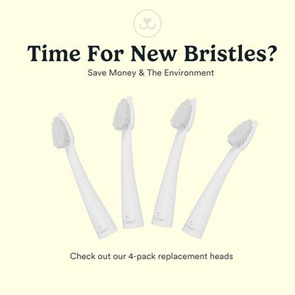 Jasper Microbrush Vet Approved Cat Toothbrush, Soft-Bristled Toothbrush Kit for Felines & Small Dogs, Non-Slip Handle with 2 Replaceable Tooth Brush Heads, Use with Cat Toothpaste, 2-Pack, Gray Mist - color: Gray 2 Pack