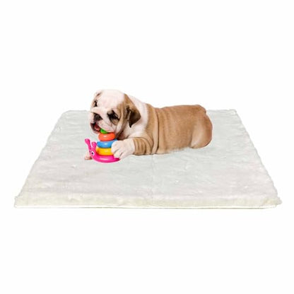 Dog Bed Mat Crate Pads for Dog Cages 30x21 Inch Washable Anti-Slip Dog Kennel Pad Soft Small Puppy Cage Cushion Liner, Beige - color: Beige, size: 30 in(L)×21 in(W)×1 in(H)