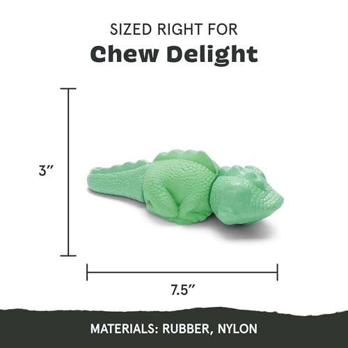 Barkbox Super Chewer Tough Dog Chew Toys for Aggressive Chewers, Dental Stimulating (Iguana - Large) - color: Illana the Iguana - Large, size: Medium/Large