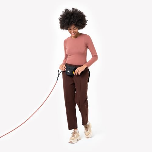 OllyDog, Goodie Treat Bag, Dog Treat Training Pouch | Magnetic Closure | 3 Ways to Wear | Hands-Free Waist Belt | Water-Resistant Recycled Vegan Fabric (Raven S'25) - color: Raven S'25