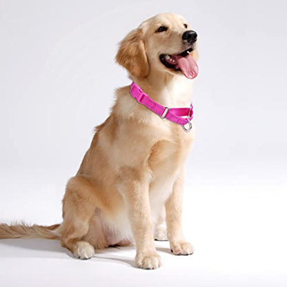 Martingale Dog Collars - Reflective Dog Collar with Quick Release Buckle Adjustable Nylon Training D Solution for Large, Medium, and Small Dogs (M, Hot Pink) - color: Hot Pink, size: M