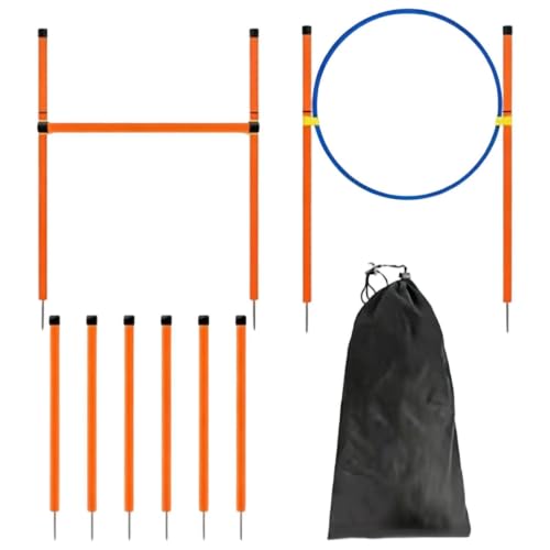 Agility Course for Dogs Exercise Game with Tunnel | Dog Playground Equipment for Outdoor Garden Park Beach Playground Field Competition Recreation - color: B