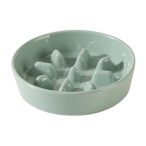 Havniva Ceramic Slow Feeder Dog Bowls, 1.2 Cups Dog Bowl Slow Feeding for Small and Medium Breed, 7.3inch Puzzle Dog Food Bowl Slow Feeder Non-Slip Anti-Gulping and Anti-Choking Reduces Bloating - color: 1 x Light Green-C, size: 7.3inch