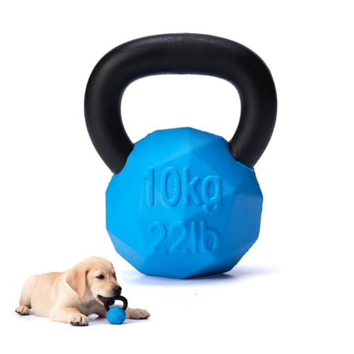 MECOOL Indestructible Dog Toy for Aggressive Chewers - Heavy Duty Chew Ring with Durable Nylon and Treat Dispenser Rubber Base, Interactive Food Puzzle Dog Chew Toy,Medium Blue for Puppy - size: S Blue