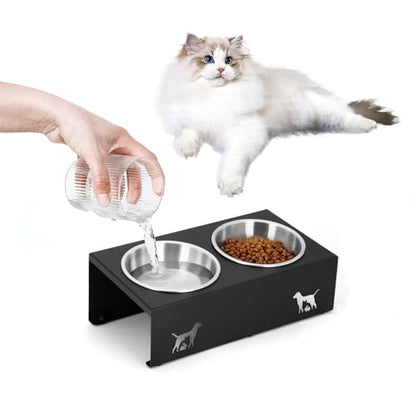 Elevated Cat Food Bowl,15°Tilted Stand Anti Vomiting Raised Cat Dishes for Food and Water,2 Stainless Steel Bowls,Non-Slip No Spill,Cats and Puppy - size: Stainless Steel-2 Bowls