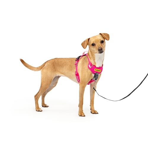 PetSafe Easy Walk Comfort No-Pull Dog Harness Full-Body Padding - Better Walks on the First Use - 5 Points of Adjustment X-Small, Pink - color: Pink, size: Extra Small