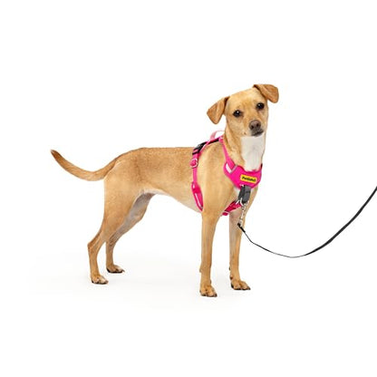 PetSafe Easy Walk Comfort No-Pull Dog Harness Full-Body Padding - Better Walks on the First Use - 5 Points of Adjustment X-Small, Pink - color: Pink, size: Extra Small