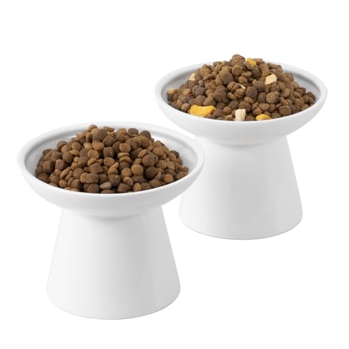 CEEFU Extra Wide Elevated Ceramic Cat Bowl, 6.2" Shallow Dish for Whisker Fatigue Relief, 5" Height for Easy Feeding, Durable Raised 2 Cat Food Bowls, White - color: White-2 Food Bowl