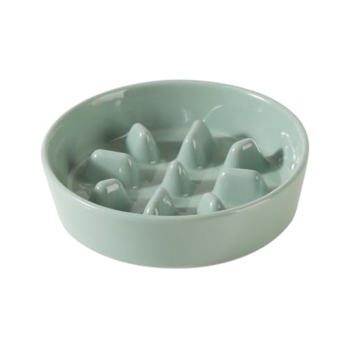 Havniva Ceramic Slow Feeder Dog Bowls, 0.9 Cups Dog Bowl Slow Feeding for Small Breed, 6.1inch Puzzle Dog Food Bowl Slow Feeder Non-Slip Anti-Gulping and Anti-Choking Reduces Bloating - color: 1 x Light Green-C, size: 6.1inch