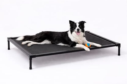Elevated Dog Bed, Dog Cot for Medium Dogs, Aluminum Frame with Chew-Resistant PVC Fabric, Supports Up to 150 lbs, Indoor and Outdoor Use, Hardware Included, 42" x 30" x 7" - size: Medium