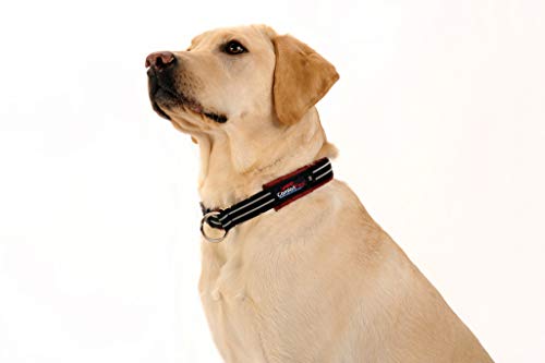 ComfortFlex Limited Slip Martingale Collar, Small, Mariner Blue | American made, designed, cut, assembled, sewn in USA, wide escape proof martingale design, premium padding, gentle control - color: Mariner Blue, size: Small