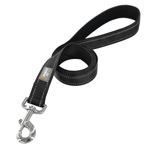 Dog Leash 6 FT Padded Handle Nylon Reflective Dogs Leashes for Small Dogs Black - color: Refl Black, size: Small : 5/8" x 6 FT
