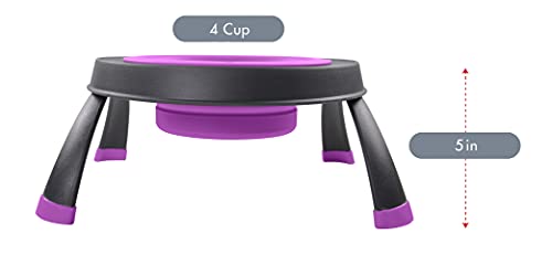 Dexas Pets Single Elevated Pet Feeder/Pet Bowl, 4 Cup Capacity, Fuchsia, Large/4 Cup Capacity - color: Fuchsia, size: Large/4 Cup Capacity