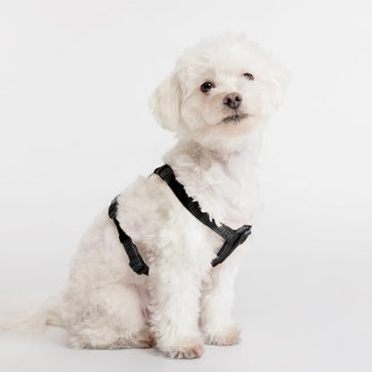 Fei & Eve Moxie Dog Harness for Small & Medium Dogs, Black, XS | Lightweight Design, 3-Point No-Pull Control, Quick Release Metal Buckle - color: Black, size: XS