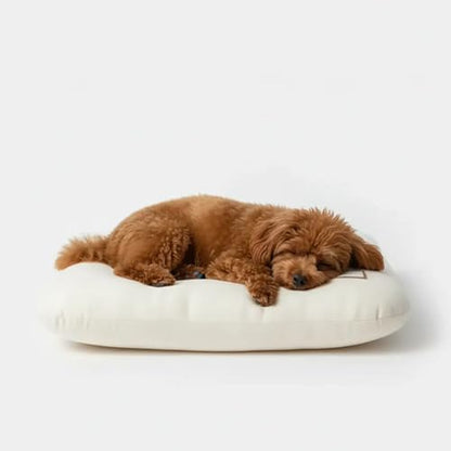 Washable Dog Bed Ultra Soft Plush Dog Crate Mat, Dog Bed for Crate, 3.2" Thick Dog Bed Mat, Kennel Pad for Small and Medium Dogs, Beige (Beige, 24" L x 18" W x 3.2" Th) - size: 24"L x 18"W x 3.2"Th