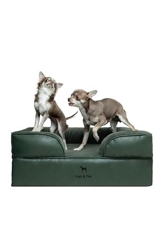 NOAH & PAW Dog Bed, 28x23x11 Inch, Orthopedic Dog Beds for Medium Size Pets, Eggshell Memory Foam Infused with Cooling Gel, Inner Cover, Water Resistant, Machine Washable (Faux Leather) - color: Vegan Leather - Green, size: Medium