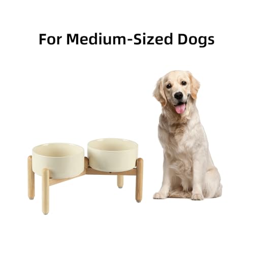 Havniva 7.3inch Ceramic Raised Dog Bowl with Stand, Double Dog Bowls Elevated for Medium Breed Dog Food and Water Bowl Set Non-Slip Dog Dish Large Capacity Feeding Pet Water Bowl - color: 2 Bowls+Stand - Light Yellow, size: 7.3inch