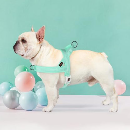 Didog No Pull Dog Harness with Breathable Mesh Padded, Quick Fit & Easy on Dog Vest Harness for Small Medium Large Dogs Training Walking(Green,S) - color: Green, size: S:Chest 18-24", Fit 17-30 lbs