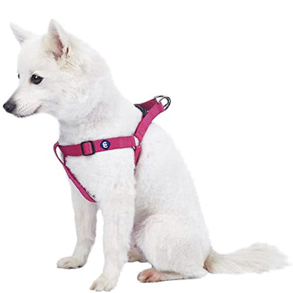 Blueberry Pet Essentials Step-in Dog Harness, Small Size | Adjustable Very Berry Vest | Classic Solid Nylon for Boy & Girl Dogs, Chest Girth 16.5" - 21.5" - color: Very Berry, size: Small