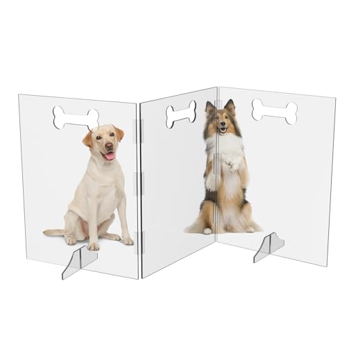 Clear Acrylic Dog Gate, 3 Panel 72" W x 31.5" H, Transparent Freestanding Pet Playpen Indoor, Foldable Pet Fence Barrier for Doorway with Handle/Support Feet - size: 3 Panel 72" W x 31.5" H