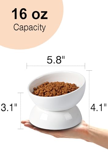 ABRUTY Cat Water Bowl, 16 OZ Ceramic Elevated Cat Bowls, 15° Tilted and Raised Pet Food Dish, Anti Vomiting Protect Pets' Spines and Whisker Fatigue - color: White, size: 1 Pack