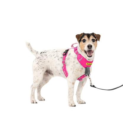PetSafe Easy Walk Comfort No-Pull Dog Harness Full-Body Padding - Better Walks on the First Use - 5 Points of Adjustment Small, Pink - color: Pink, size: Small