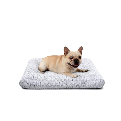 Dog Beds for Small Dogs Deluxe Plush, Washable Small Dog Cat Bed, Indestructible Dog Crate Pad, Anti-Slip Soft Pet Bed, Comfy Kennel Pad for Large, Jumbo, Small, Medium Dogs, 23"x 18"-M, Light Gray - color: Light Grey, size: 23"L x 18"W x 3"Th