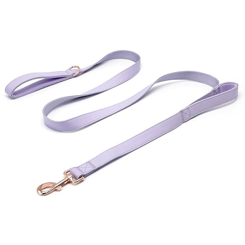 Dog Leash 6ft Long,Traffic Padded Two Handle,Heavy Duty,Double Handles Lead for Control Safety Training,Leashes for Large Dogs or Medium Dogs,Dual Handles Leads (Purple, 25MM*6FT) - color: Purple