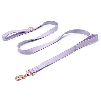 Dog Leash 6ft Long,Traffic Padded Two Handle,Heavy Duty,Double Handles Lead for Control Safety Training,Leashes for Large Dogs or Medium Dogs,Dual Handles Leads (Purple, 25MM*6FT) - color: Purple