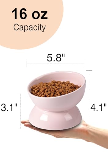 ABRUTY Cat Water Bowl, 16 OZ Ceramic Elevated Cat Bowls, 15° Tilted and Raised Pet Food Dish, Anti Vomiting Protect Pets' Spines and Whisker Fatigue - color: Pink, size: 1 Pack