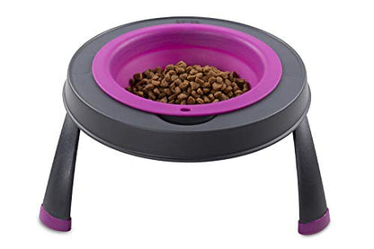Dexas Pets Single Elevated Pet Feeder/Pet Bowl, 4 Cup Capacity, Fuchsia, Large/4 Cup Capacity - color: Fuchsia, size: Large/4 Cup Capacity