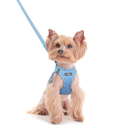 rabbitgoo Dog Harness Small Sized and Leash Set, Step in Soft Light Puppy Vest, Breathable Mesh Pet Harness, Reflective for Safe Easy Walking, Blue & Plaid Trim XXS - color: Blue & Plaid Trim, size: Xxs (chest: 12.4 - 14.2")