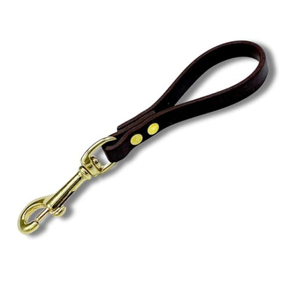Biothane Training Tab Leash for Dogs, Brass Hardware, No Pull with Easy Grip Handle, Made in The USA, Professional Grade-Brown - color: Brown