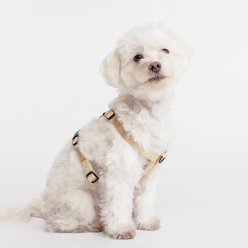 Fei & Eve Moxie Dog Harness for Small & Medium Dogs, Champagne, M | Lightweight Design, 3-Point No-Pull Control, Quick Release Metal Buckle - color: Champagne, size: M