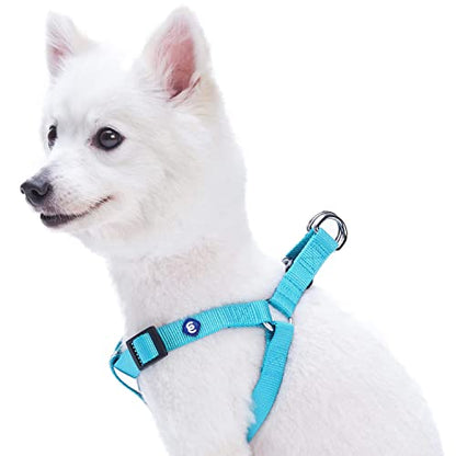 Blueberry Pet Essentials Step-in Dog Harness, Small Size | Adjustable Turquoise Vest | Classic Solid Nylon for Boy & Girl Dogs, Chest Girth 16.5" - 21.5" - color: Turquoise, size: Small