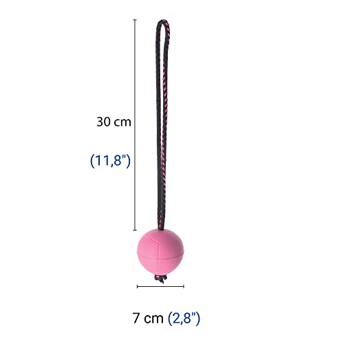 Dingo Dog Ball with Short Handle, Water Toy, Natural Rubber, Pink BIBI