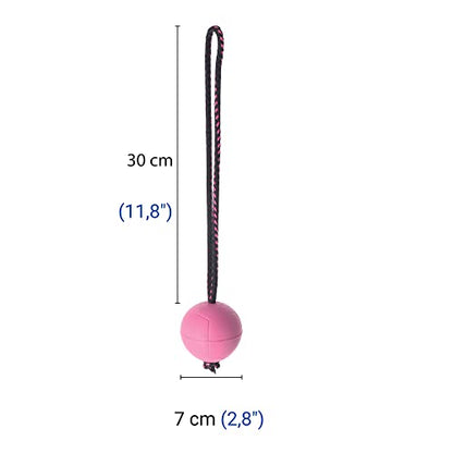 Dingo Dog Ball with Short Handle, Water Toy, Natural Rubber, Pink BIBI