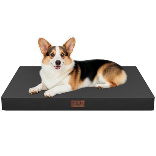 Outdoor Waterproof Orthopedic Dog Bed for Large Dogs | Egg Crate Foam for Joint Support, TPU Waterproof Layer, Machine Washable 1680D Oxford Cover, 36 x 27 Inch, Up to 65 lbs - color: Black, size: 36.0"L x 27.0"W x 3.0"Th
