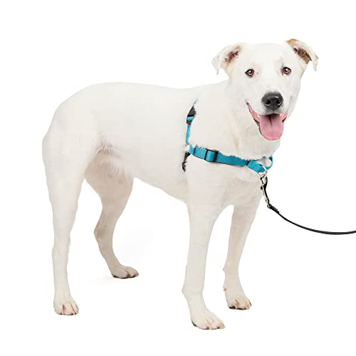 PetSafe Easy Walk Deluxe Dog Harness, No Pull Dog Harness – Perfect for Leash & Harness Training – Stops Pets from Pulling and Choking on Walks – Medium/Large, Ocean - color: Ocean, size: Medium/Large