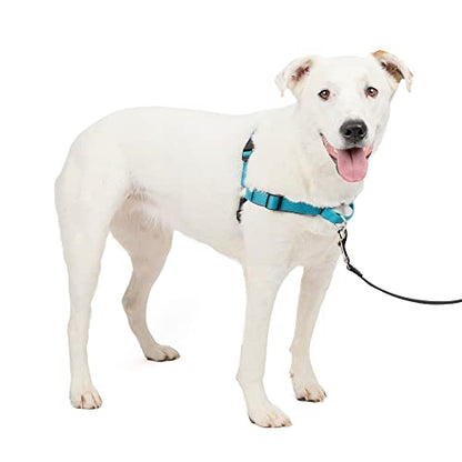 PetSafe Easy Walk Deluxe Dog Harness, No Pull Dog Harness – Perfect for Leash & Harness Training – Stops Pets from Pulling and Choking on Walks – Medium/Large, Ocean - color: Ocean, size: Medium/Large
